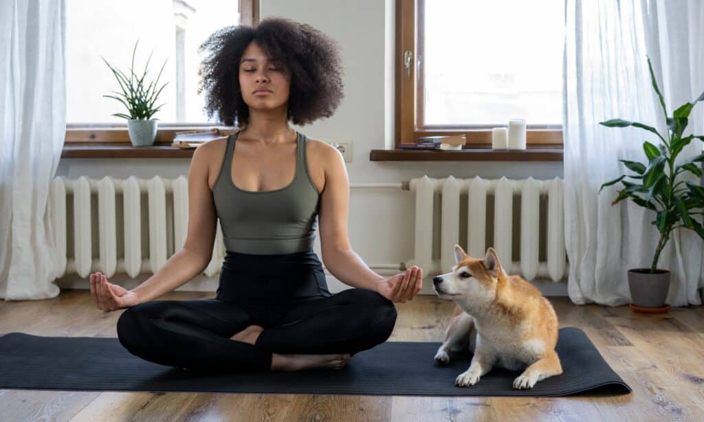 meditation